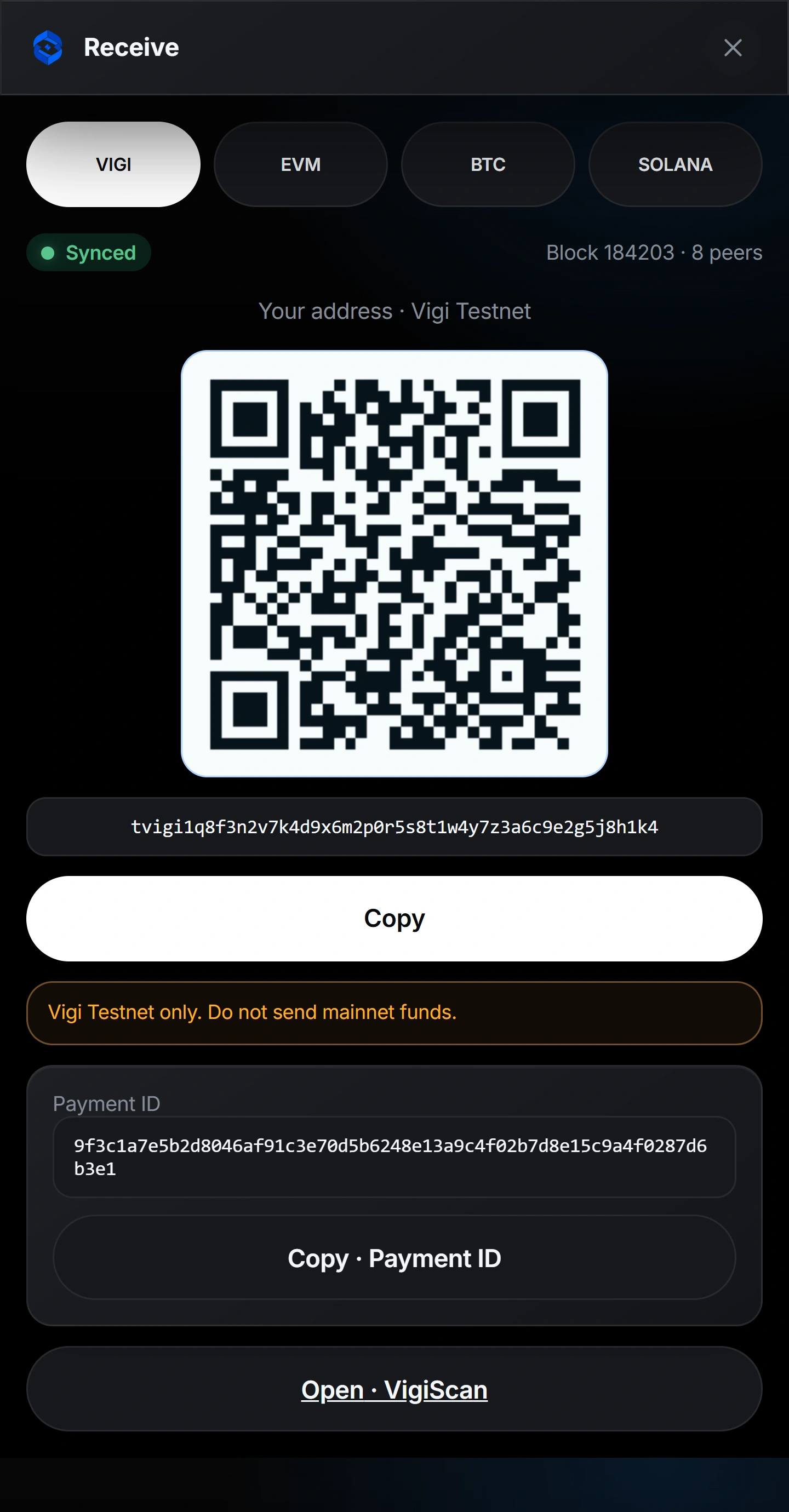 Vigi Wallet